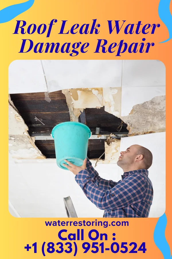 Roof Leak Water Damage Repair in Kildeer, IL